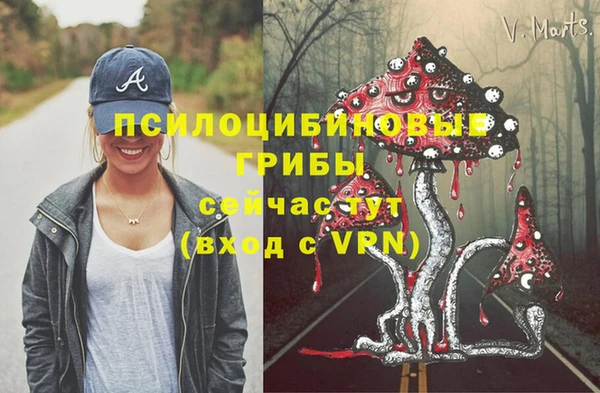 ECSTASY Вязники