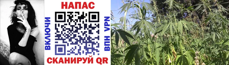 Бошки Шишки Ganja Заринск
